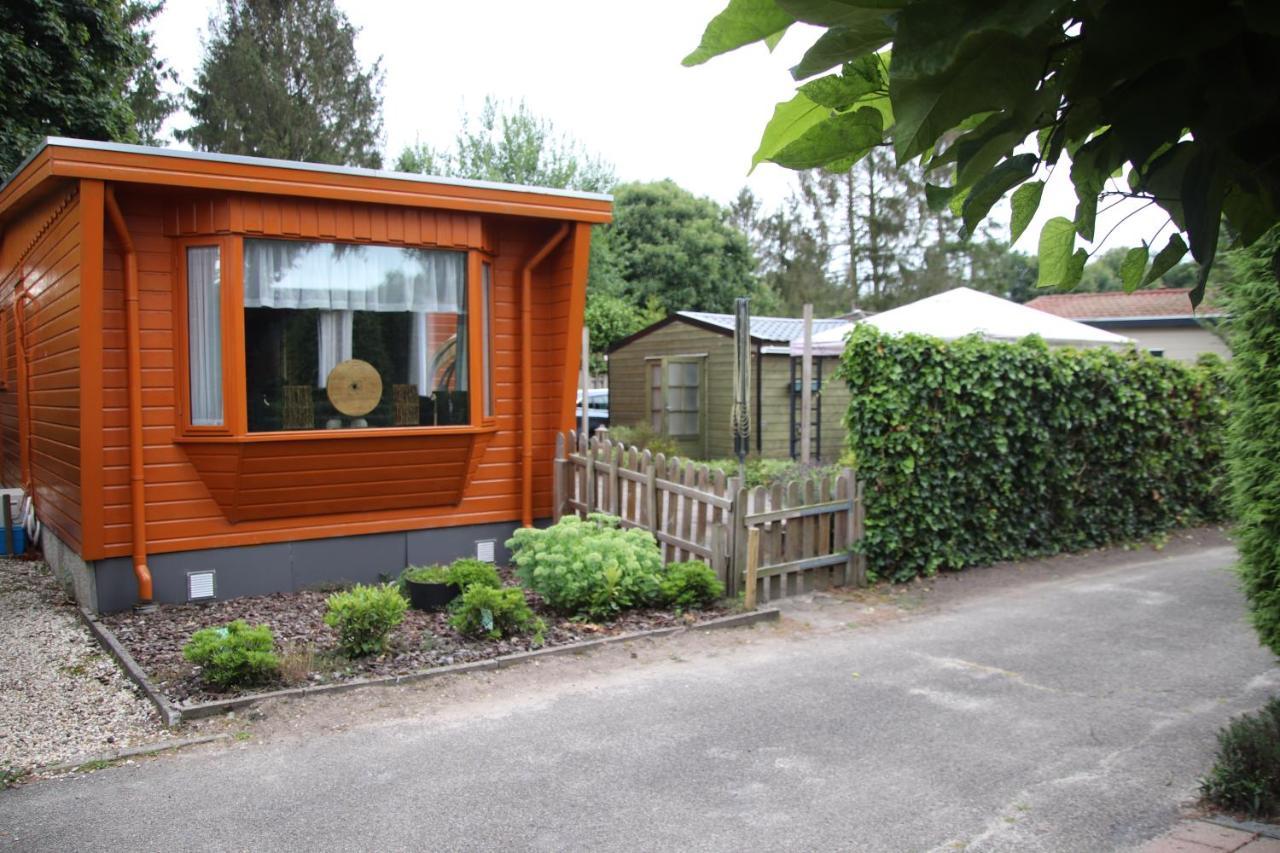 Veluwe Park Reewold Chalet Eclipse Putten Exterior foto