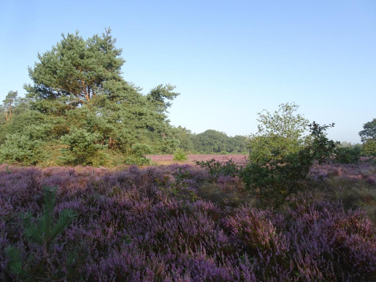 Veluwe Park Reewold Chalet Eclipse Putten Exterior foto